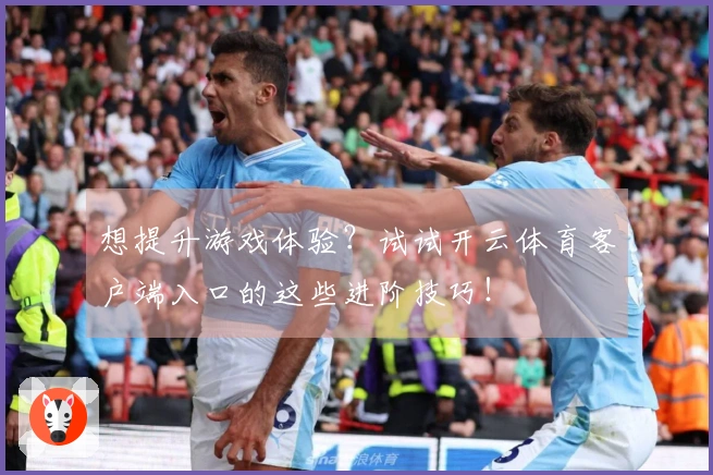想提升游戏体验？试试开云体育客户端入口的这些进阶技巧！